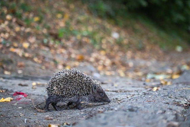 心理上的稳 心理上的稳