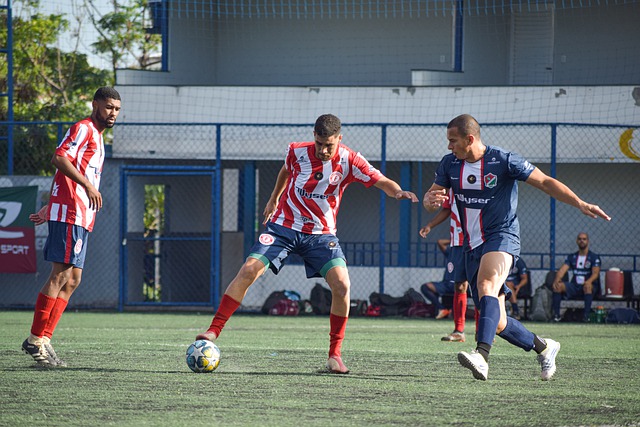 发挥了作用 发挥了作用