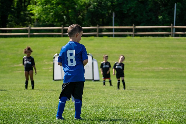 最终夺冠 最终夺冠