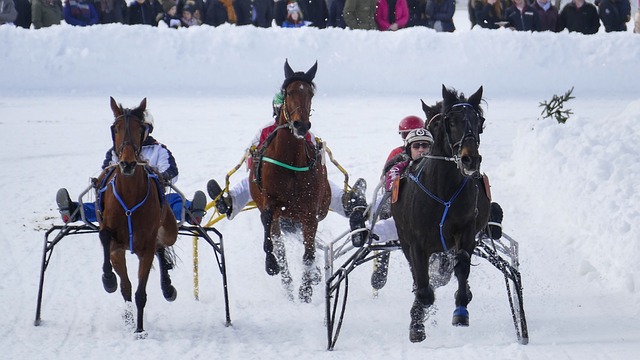 李诗沣的优 李诗沣的优