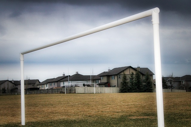 在亲密关系 在亲密关系