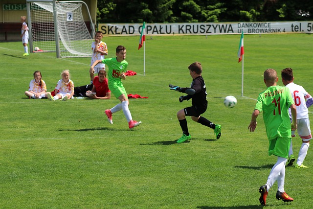 僅降低比賽 僅降低比賽